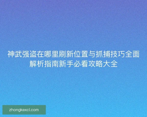 神武强盗在哪里刷新位置与抓捕技巧全面解析指南新手必看攻略大全