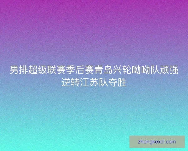 男排超级联赛季后赛青岛兴轮呦呦队顽强逆转江苏队夺胜 男排超级联赛季后赛青岛兴轮呦呦队顽强逆转江苏队夺胜